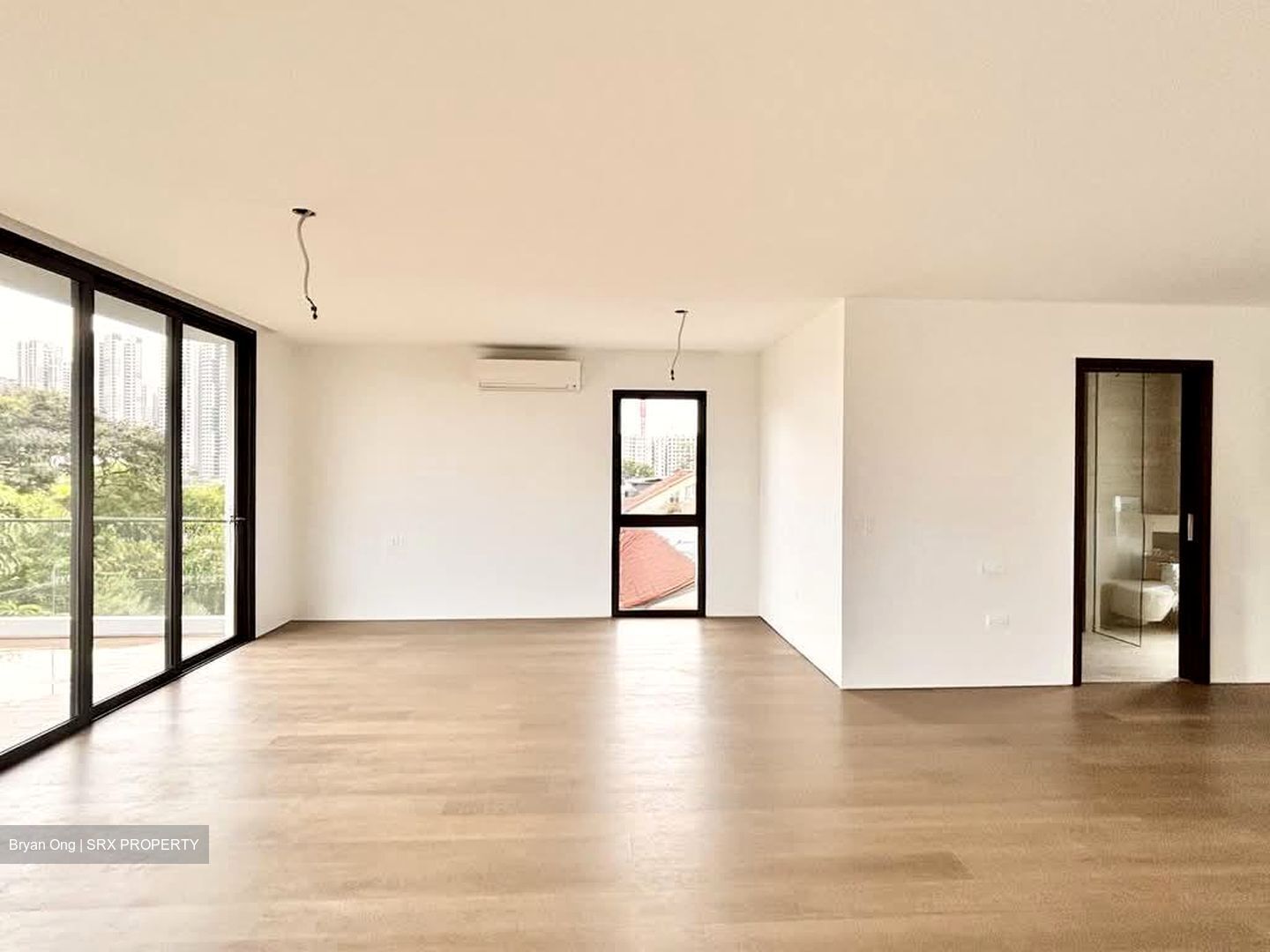 Henry Park (D10), Detached #533846271